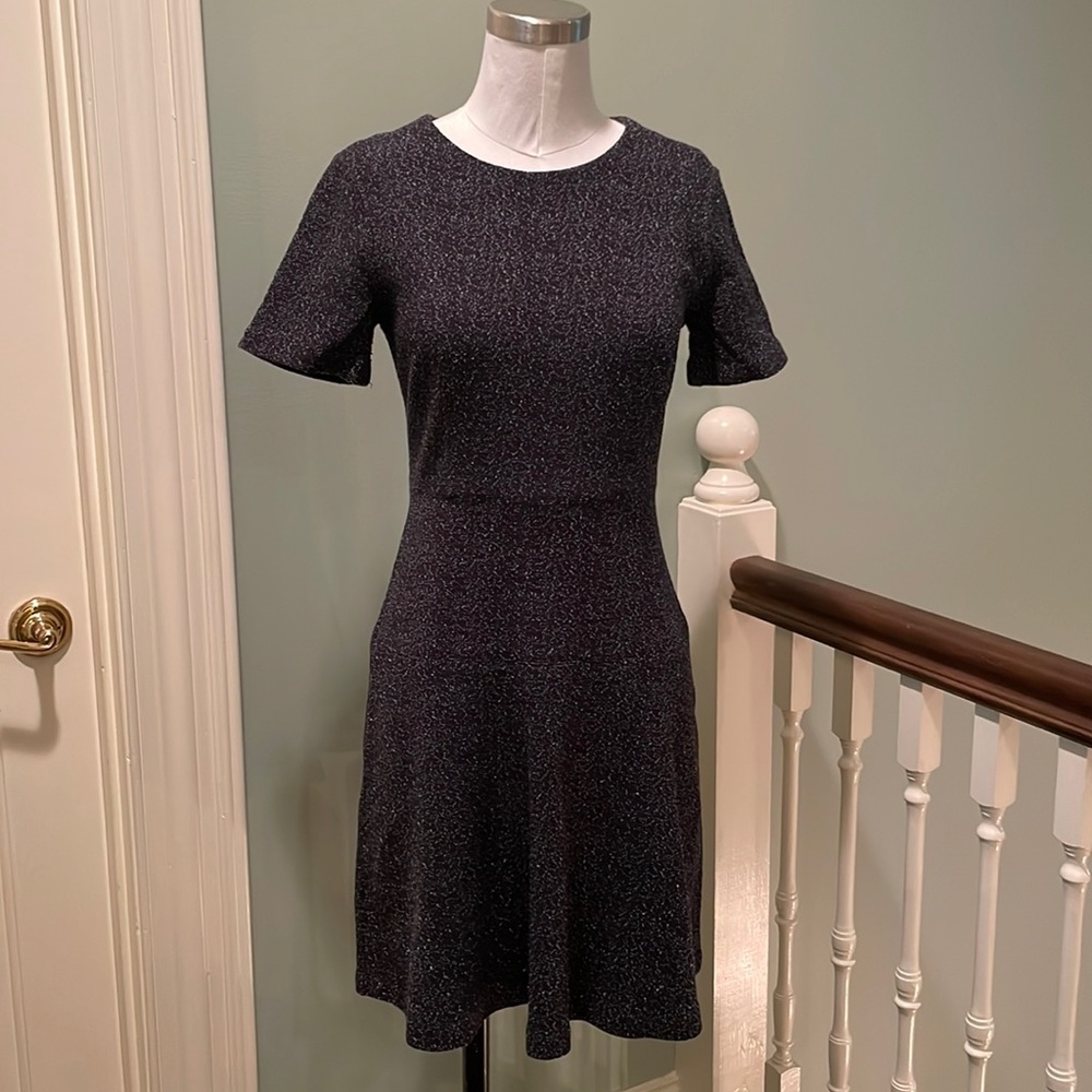 Ann Taylor Petite dress